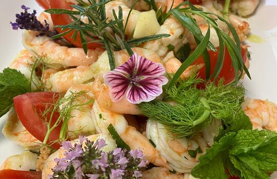 WhatsApp Image 2025-01-10 at 09.29.51 (4).jpeg